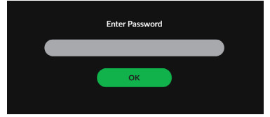 BirdDog Flex 4K In and Backpack Converter Mini HDMI to NDI Encoder Decoder - Mini 3