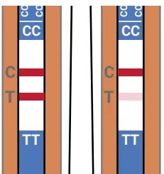 FaStep-COVID-19-Antigen-Pen-Home-Test-fig-7