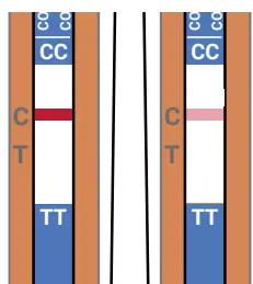 FaStep-COVID-19-Antigen-Pen-Home-Test-fig-8
