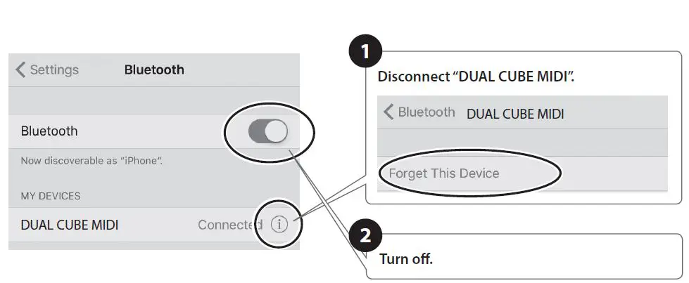 BOSS-Dual-Cube-LX-Portable-Stereo-Guitar-Amplifier-18