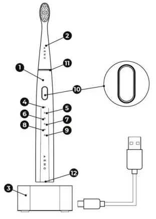 AENO-ADB001S-DB1sToothbrus-fig-1