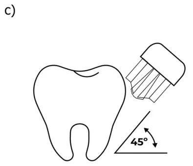 AENO-ADB001S-DB1sToothbrus-fig-3