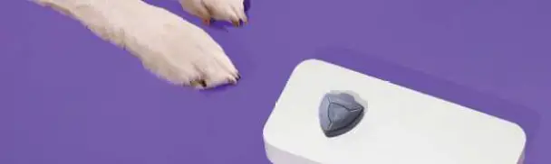 AIRBOLT-Cellular-GPS-Small-Tracking-Device-fig-24