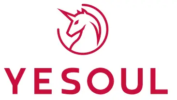 YESOUL - logo
