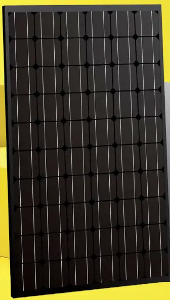 ELERIX EXS 320M FB Mono Crystalline Solar Module.