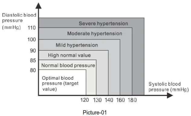 Fysic FB160 Fully Automatic Upper Arm Blood Pressure Monitor - Picture-01