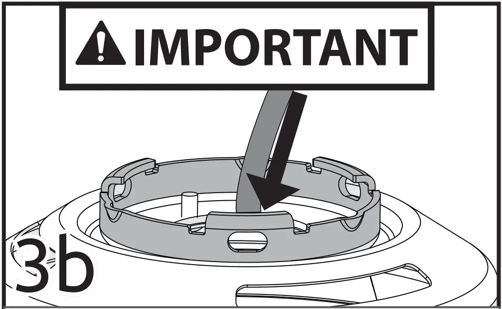 Hunter 52431 4 Lights Ceiling Fan - Complete 2