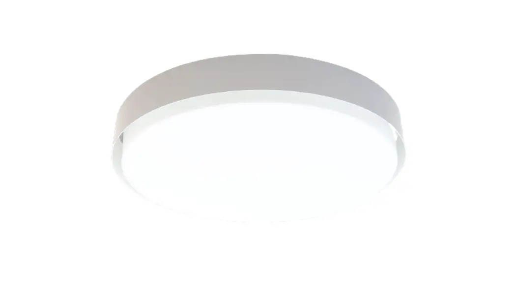 Bega 12165.1 Led Ceiling And Wall Luminaire Instruction Manual