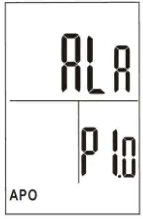 TRIPLETT HSDL300 Heat Stress WBGT Datalogger - Display mode1
