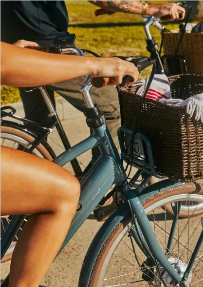 LeKKeR Jordaan Plus Electric Bike 3