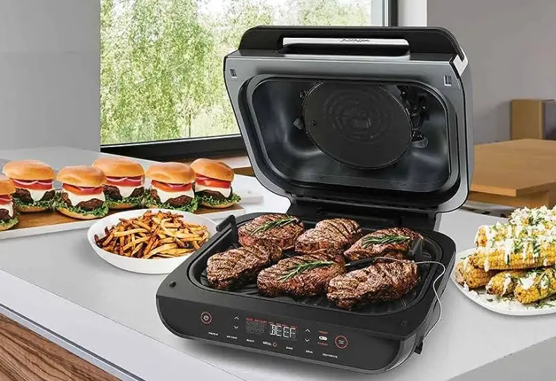 Ninja Dz275h Foodi Smart Thermometer User Guide Ninja Dz275h Foodi Smart Thermometer User Guide