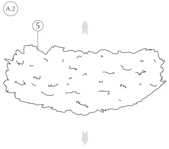 UMAGE-Eos-Esther-Hanging-Light-fig- (6)