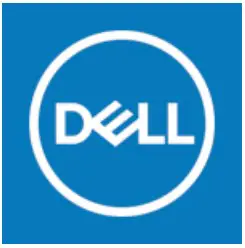 Dell Icon