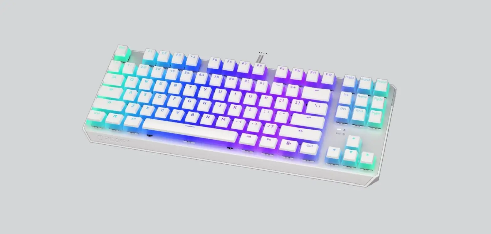 Endorfy Ey5a007 Mechanical Gaming Keyboard User Guide