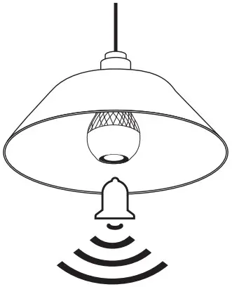 Two Bulb Pairing Instructions (TWS)