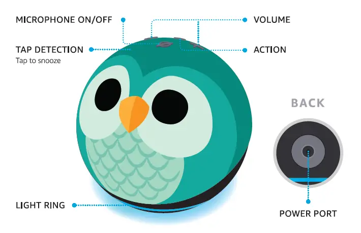 MEET YOUR ECHO DOT KIDS