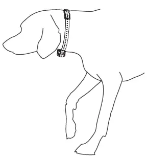 GARMIN-DELTA-SE-Handheld-and-Dog-Tracking-Collar-fig- (6)