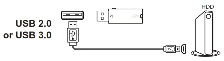 TCL 75 C845 Mini LED 4K Google TV - USB