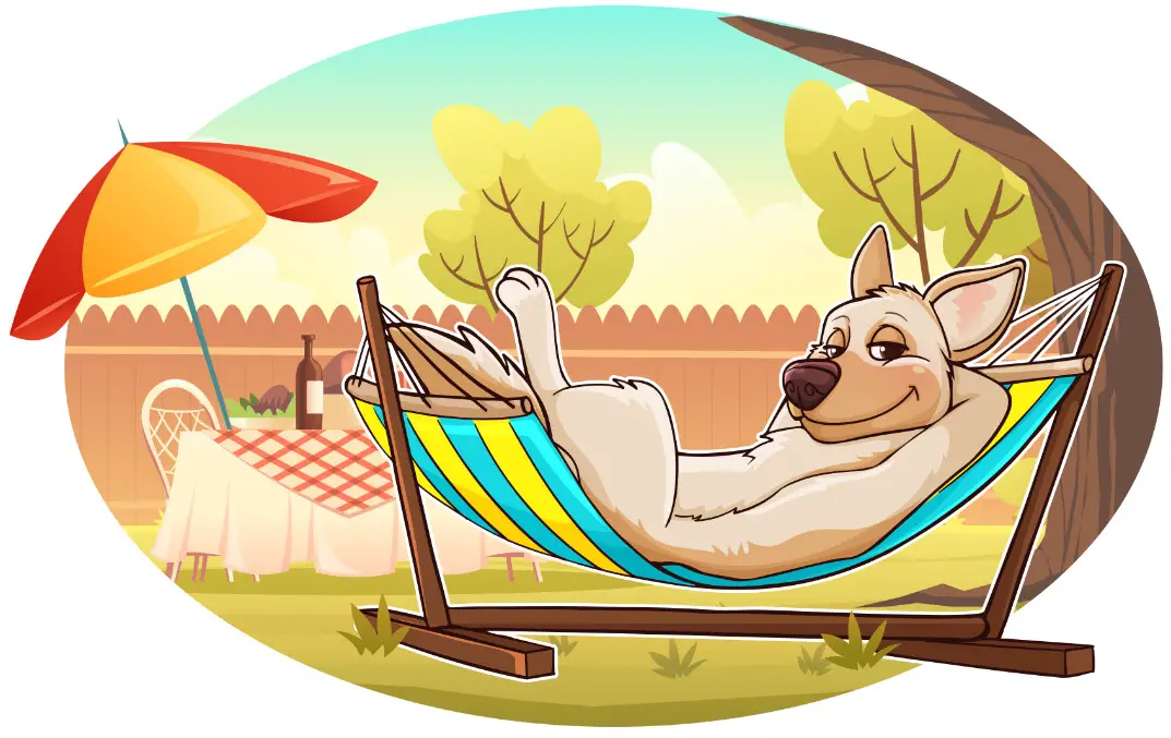 SUNCREAT HSW Series Hammock with Stand and Detachable Pillow