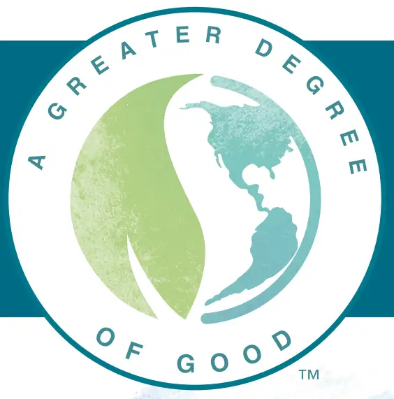 Raypak RP P 600 1 Electronic Natural Gas Pool and Spa Heater - SMARTER CONTROLS 1