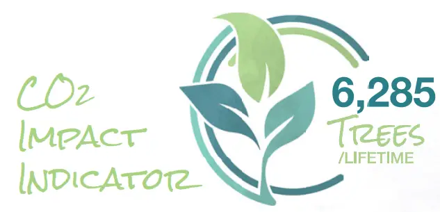 Raypak RP P 600 1 Electronic Natural Gas Pool and Spa Heater - SMARTER CONTROLS 2