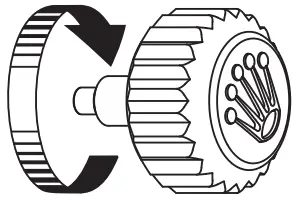 WEARING THE WATCH FOR THE FIRST TIME