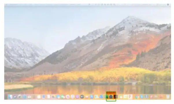 Mobile Pixels Trio, Trio Max - Content