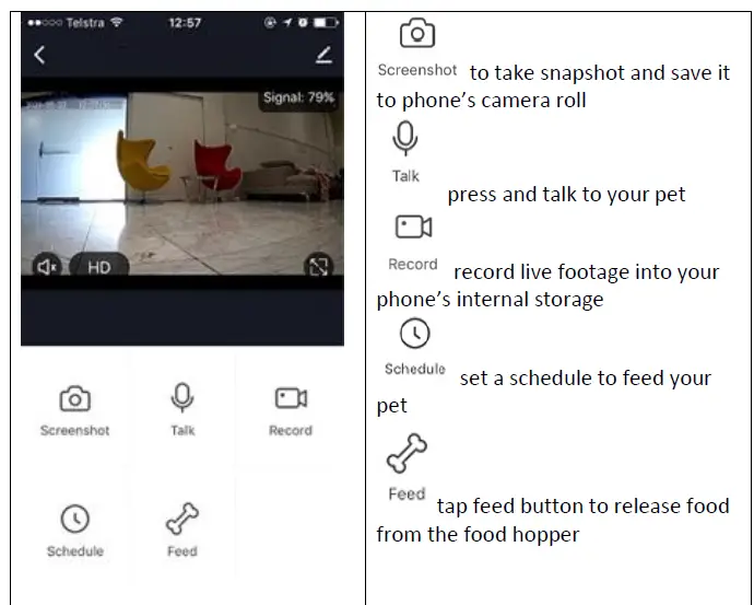 mirabella-genio-I005006-Treat-Dispenser-10