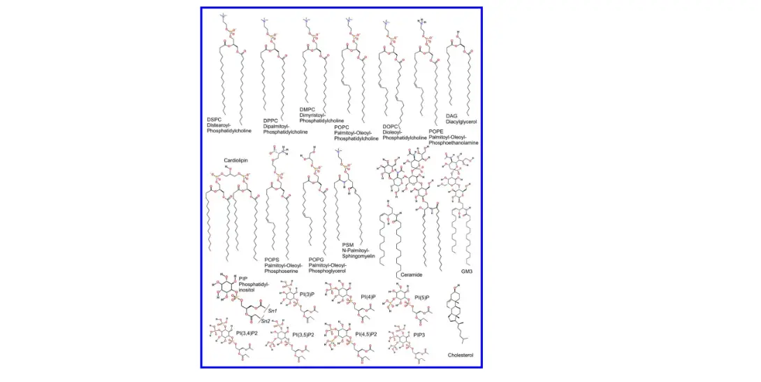 Express K Chen Jena Pre-assembled With Soft Close Function Positioning Width 180 Cm Instructions