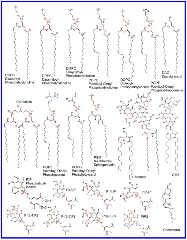 Express-K-chen-Jena-Pre-Assembled-with-Soft-Close-Function-Positioning-Width-180-Cm-PRODUCT-IMAGE