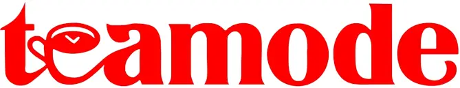 Temodu Logo