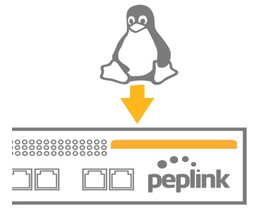 peplink MAX BR1 Pro 5G Pepwave Router - KVM Virtualization