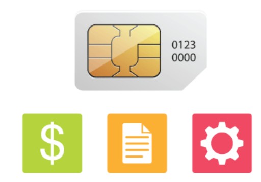 peplink MAX BR1 Pro 5G Pepwave Router - SIM-card