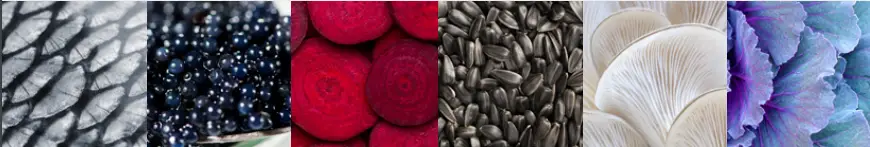 Steel-AQ9S-6W-NA-O-Upright-Cooker-with-Combi-Steam-Oven-fig-1