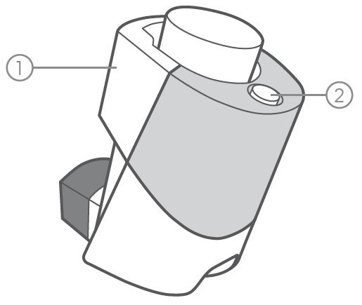 hailie-Advair-HFA-Compatible-Inhalers-fig-1