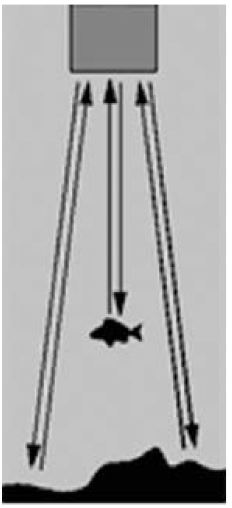 Hawkeye DT1H Portable Depth Finder-fig- (1)