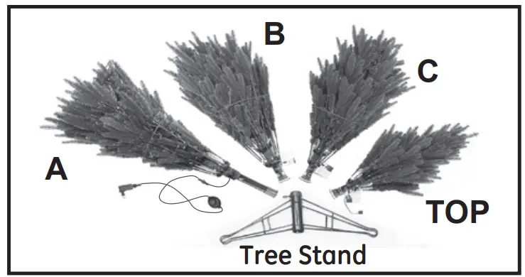 GE 21107 Just Cut Fraser Pencil Fir - Tree Stand