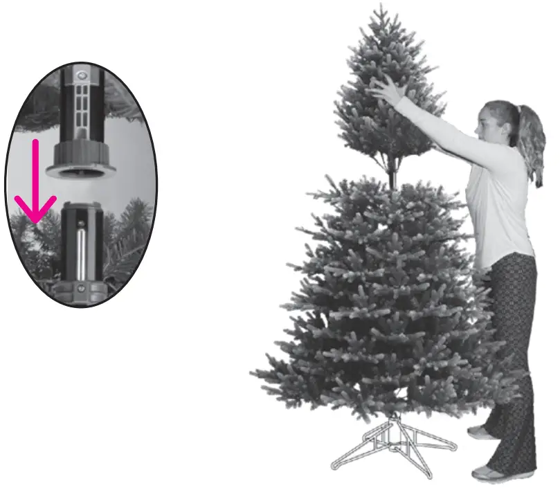 GE 21107 Just Cut Fraser Pencil Fir - shaping 1