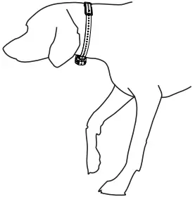 GARMIN BarkLimiter Series Rechargeable Bark Control Collar A5