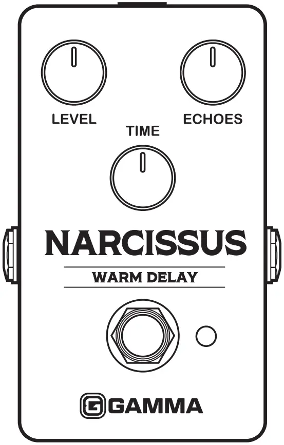 Gamma Narcissus Warm Delay Effects Pedal