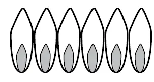 Thermador-PAALTKITGW-Pro-Grand-High-Altitude-Conversion-Kit-28