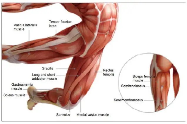 anko-ITGM-06-Massage-Gun-7