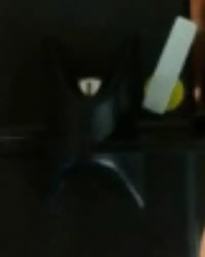 Connected The Network