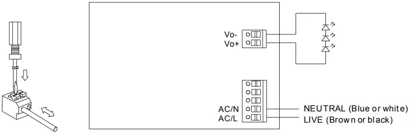 MEAN WELL LCM 40DA LED Driver - Connection of LED Lamps
