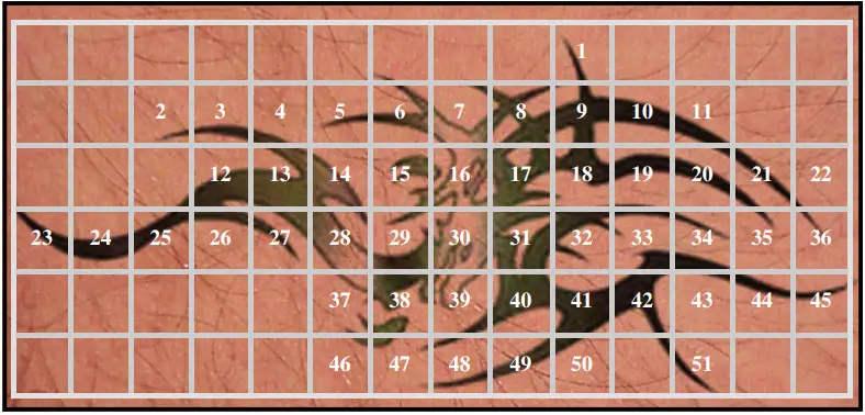 Avance Beauty IPL350 WRK E Light Flux Professional IPL Wrinkle Reduction System - Treatment Procedure