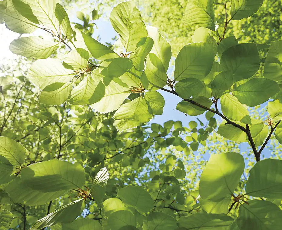 BAXI-Assure-24-KW-System-Boiler-Natural-Gas-02