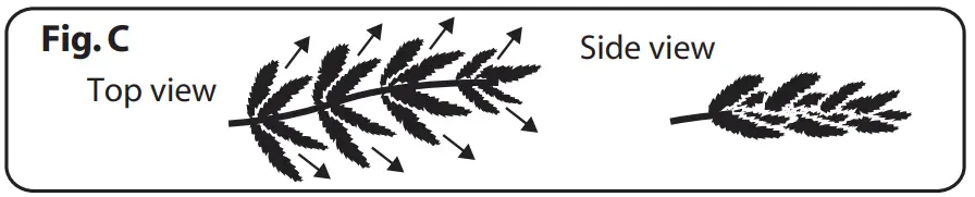 Williams-Sonoma TG70P4798L00 Deluxe Noble Fir-7 LED Clear - section