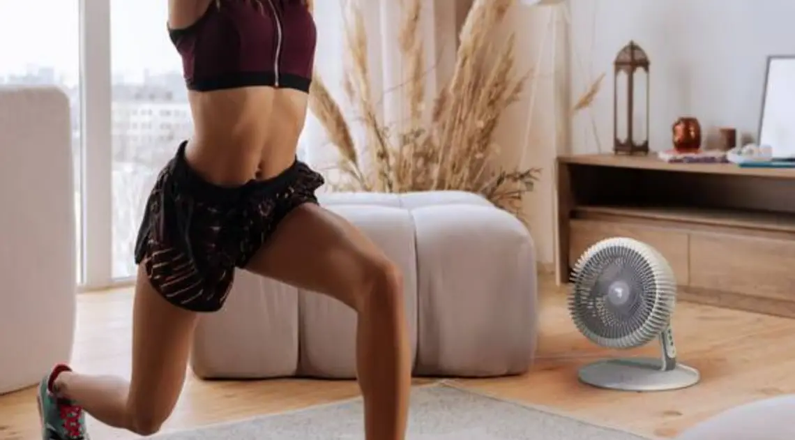 Sharper Image Refresh 06 Osc Oscillating Fan Owner's Manual Sharper Image Refresh 06 Osc Oscillating Fan Owner's Manual