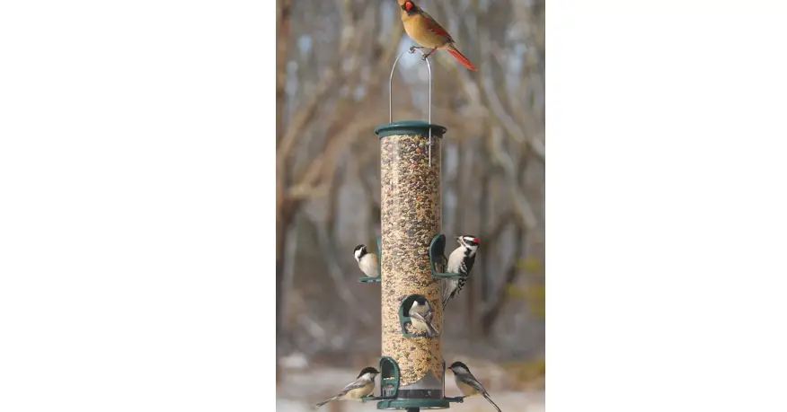 Bliss Outdoors Bbf-133 6 Port Bird Feeder User Manual