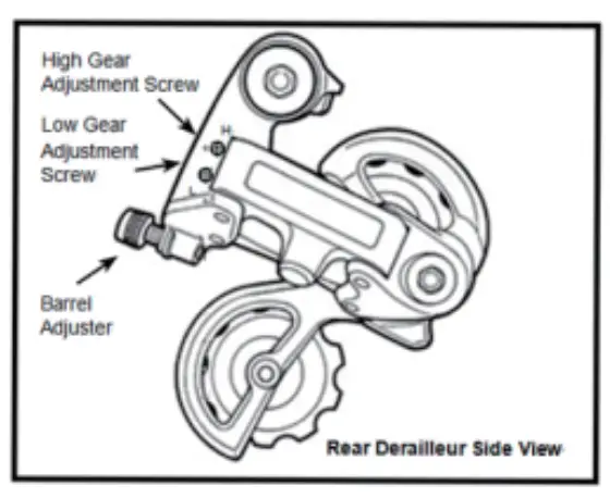 Rear Derailleur